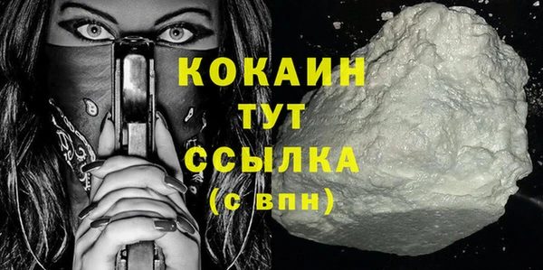 тгк Алзамай