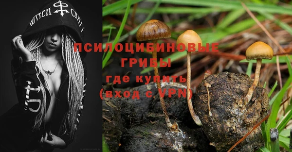 тгк Алзамай